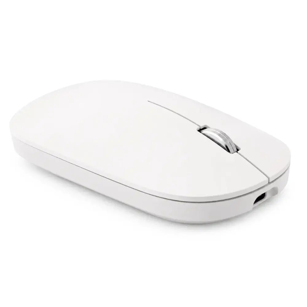 Souris Nomae